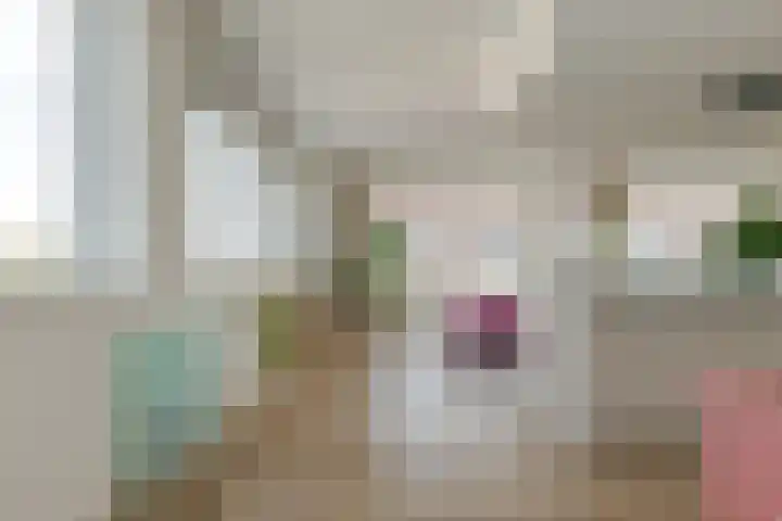 Govert Flinckstraat 23 D Zwolle thumbnail 20