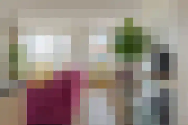 Govert Flinckstraat 23 D Zwolle thumbnail 21