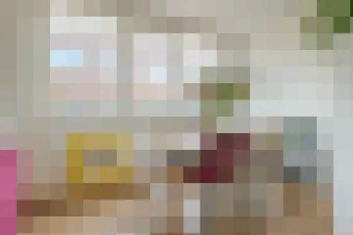Govert Flinckstraat 23 D Zwolle thumbnail 22