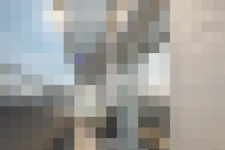 Govert Flinckstraat 23 D Zwolle thumbnail 34