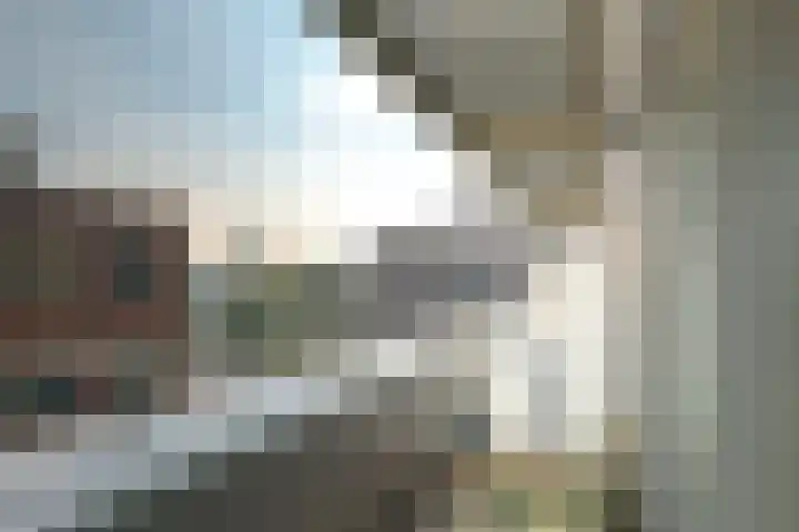 Govert Flinckstraat 23 D Zwolle thumbnail 35