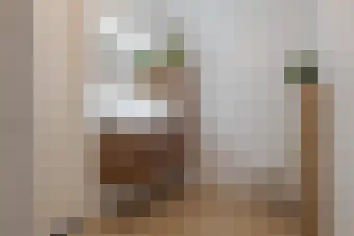 Govert Flinckstraat 23 D Zwolle thumbnail 42