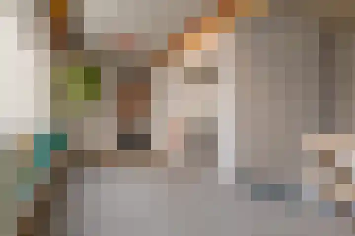 Govert Flinckstraat 23 D Zwolle thumbnail 46