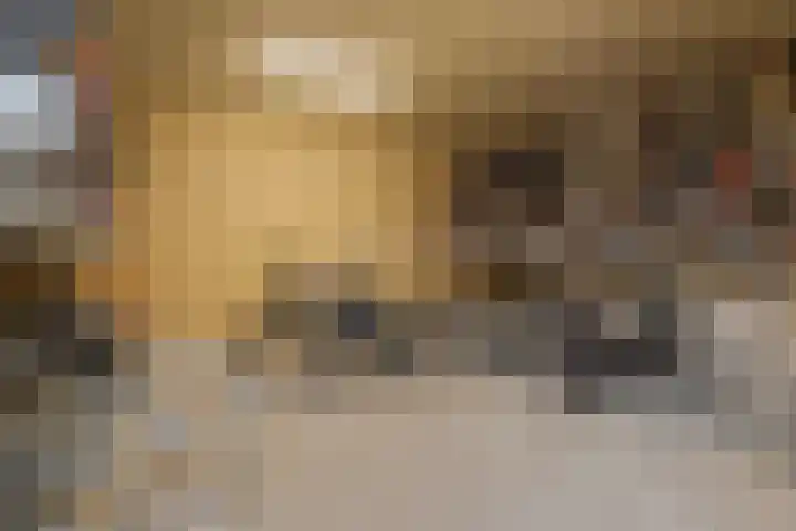 Govert Flinckstraat 23 D Zwolle thumbnail 53
