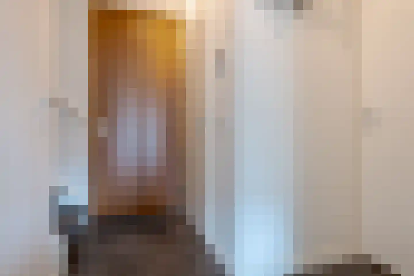 Govert Flinckstraat 23 F Zwolle thumbnail 20