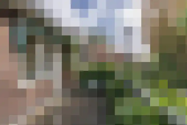 Govert Flinckstraat 23 Zaandam thumbnail 21