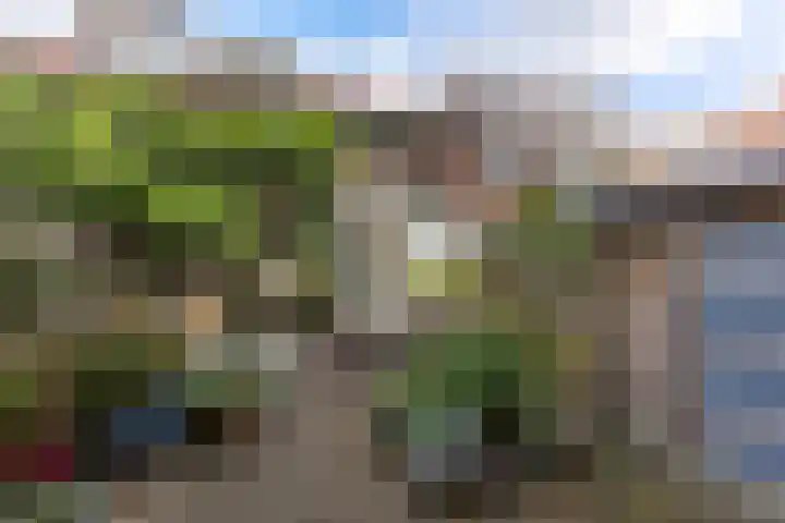 Govert Flinckstraat 23 Zaandam thumbnail 29