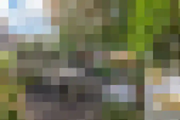 Govert Flinckstraat 23 Zaandam thumbnail 4
