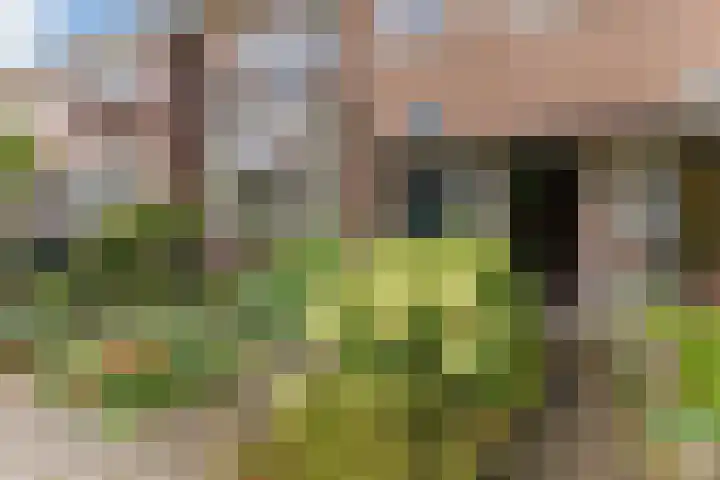 Govert Flinckstraat 23 Zaandam thumbnail 5