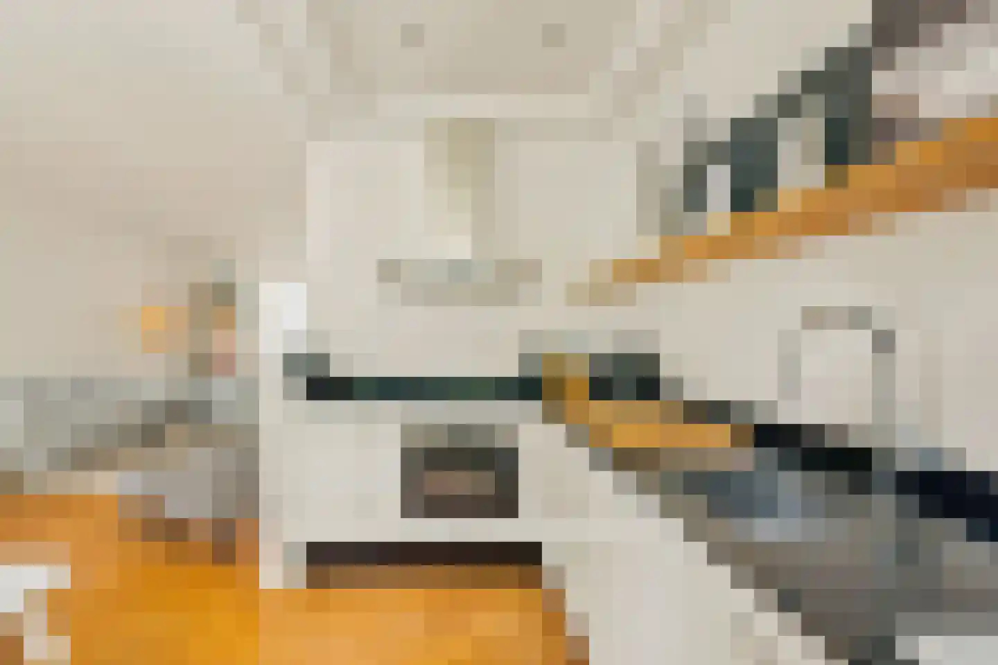 Govert Flinckstraat 234 1 Amsterdam thumbnail 11