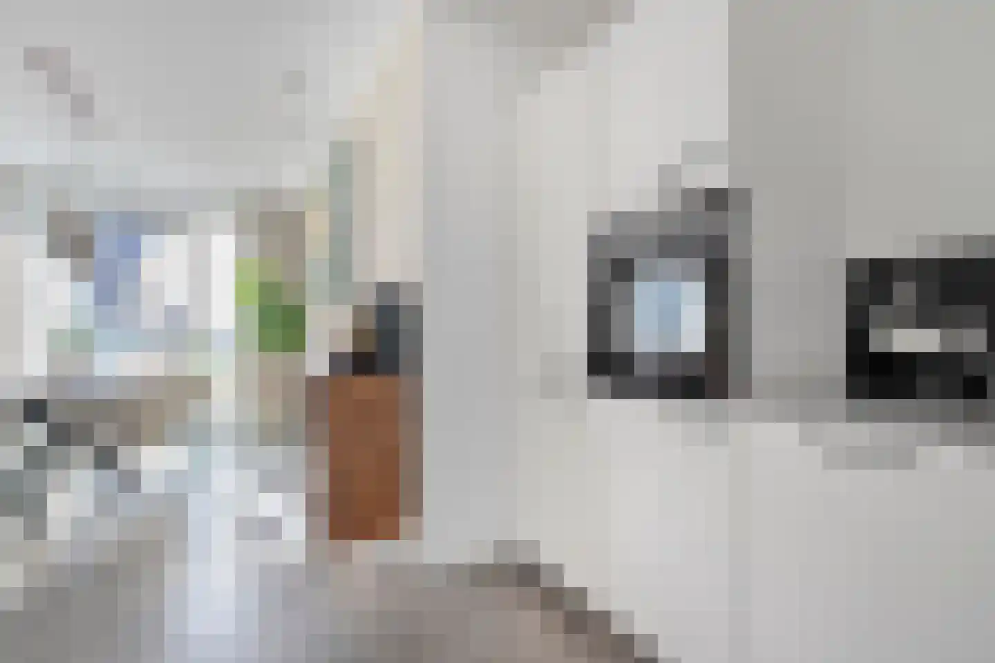 Govert Flinckstraat 25 E Zwolle thumbnail 13