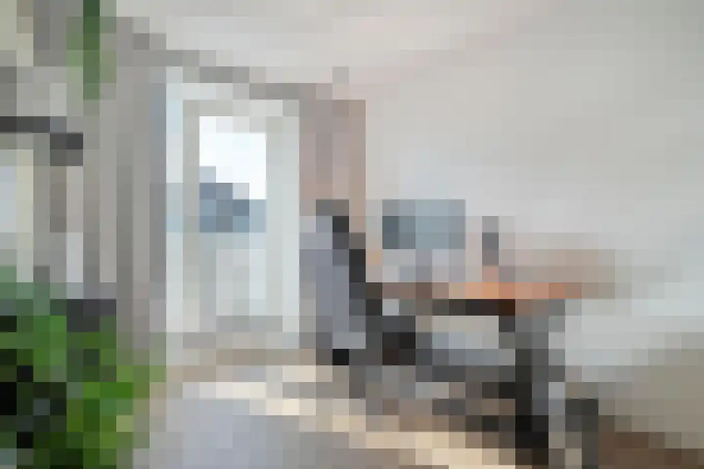 Govert Flinckstraat 25 E Zwolle thumbnail 26