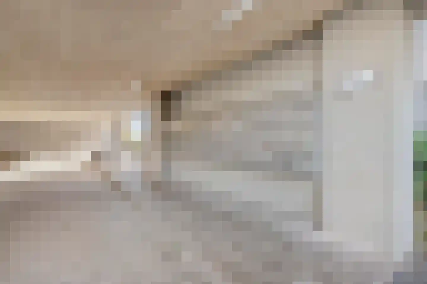Govert Flinckstraat 25 E Zwolle thumbnail 31