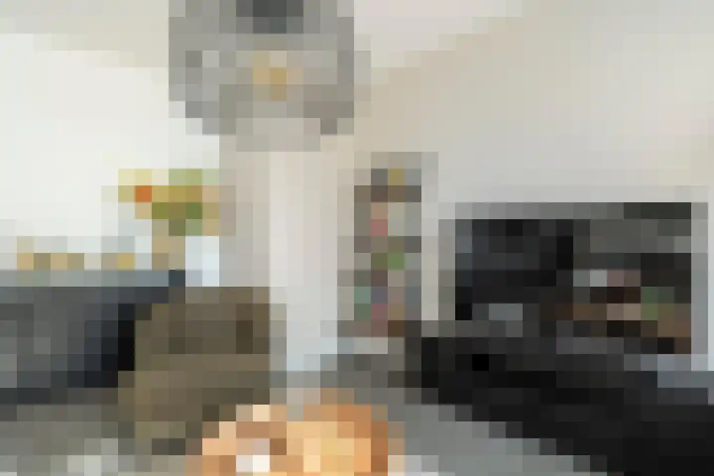 Govert Flinckstraat 25 E Zwolle thumbnail 6
