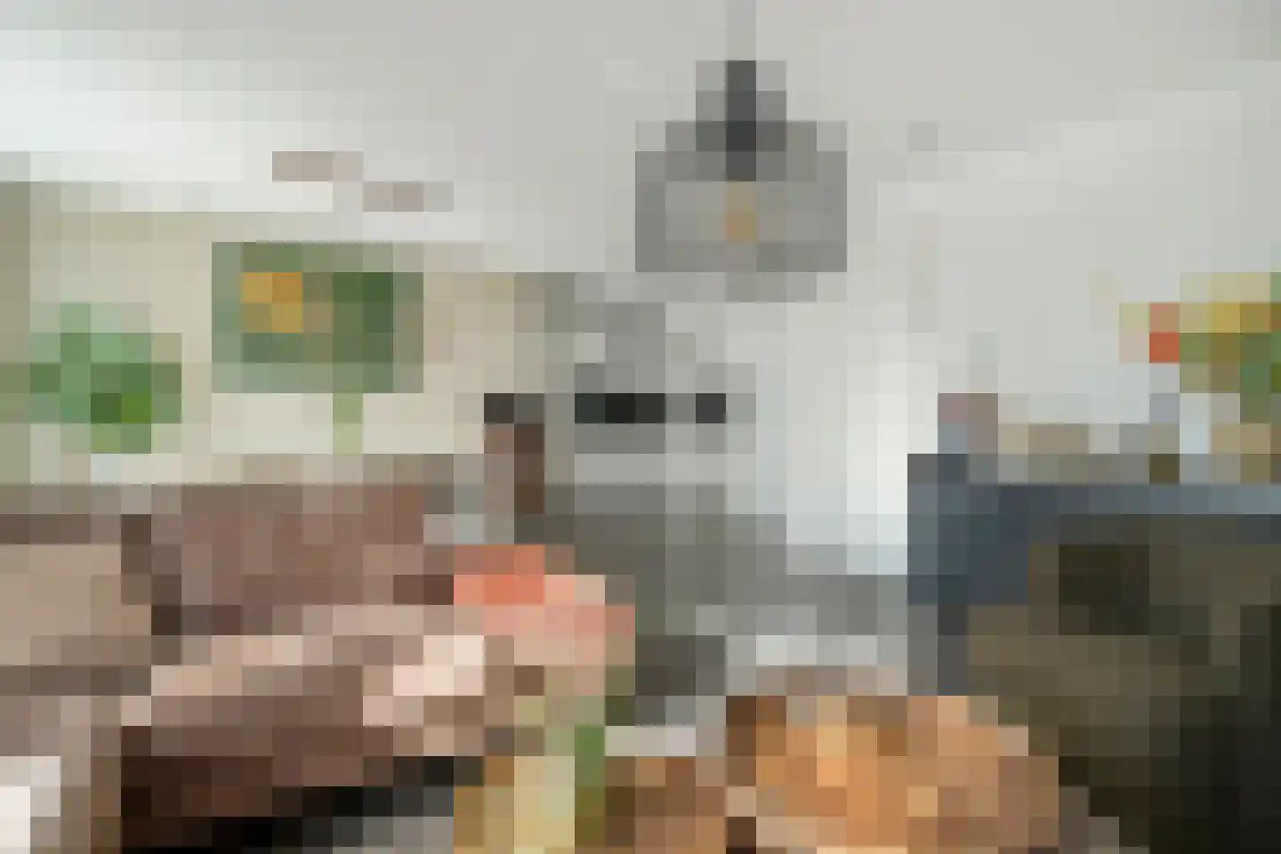 Govert Flinckstraat 25 E Zwolle thumbnail 7