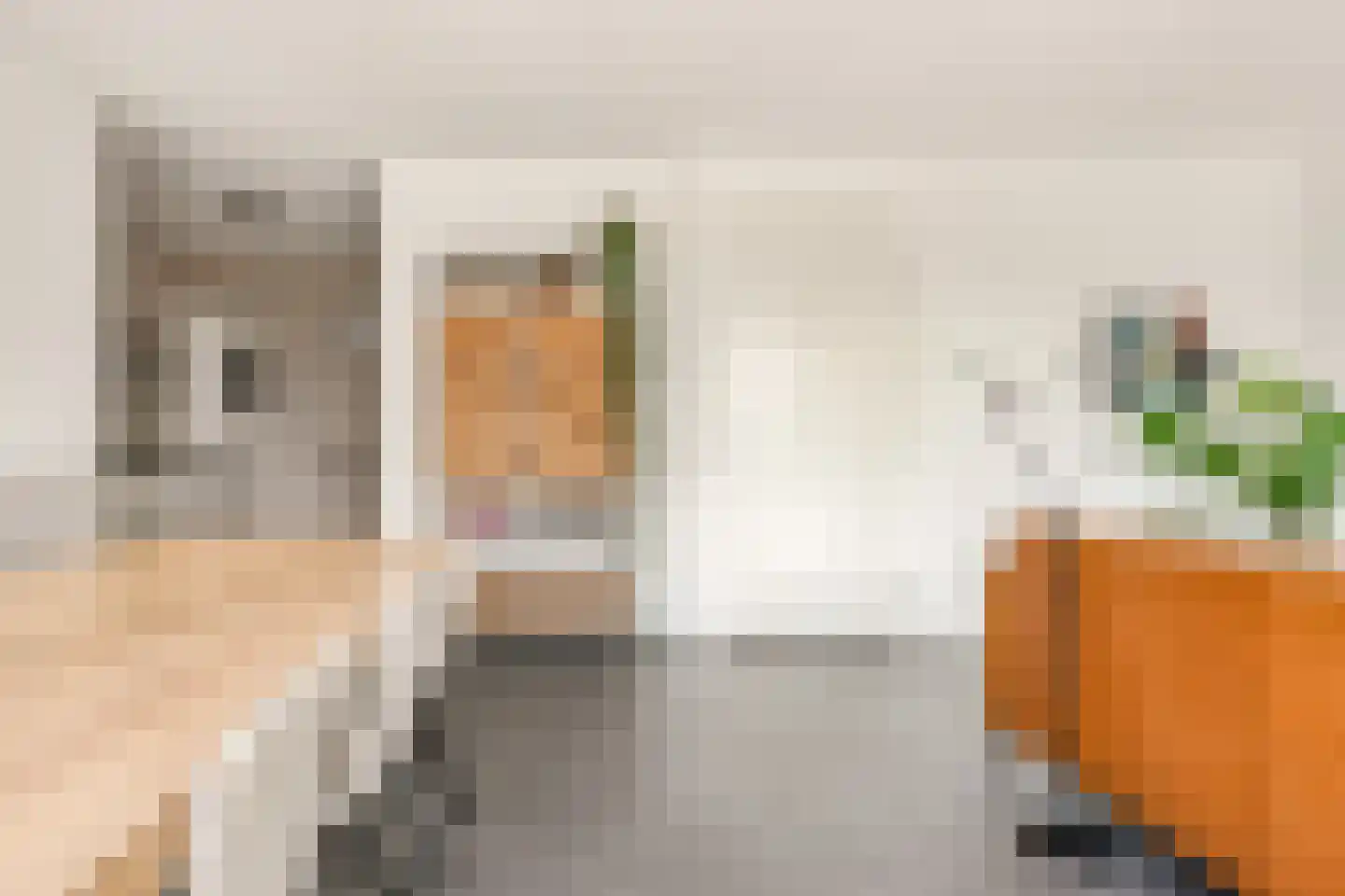 Govert Flinckstraat 25 G Zwolle thumbnail 13