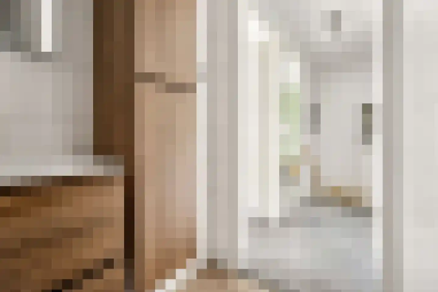 Govert Flinckstraat 25 G Zwolle thumbnail 27