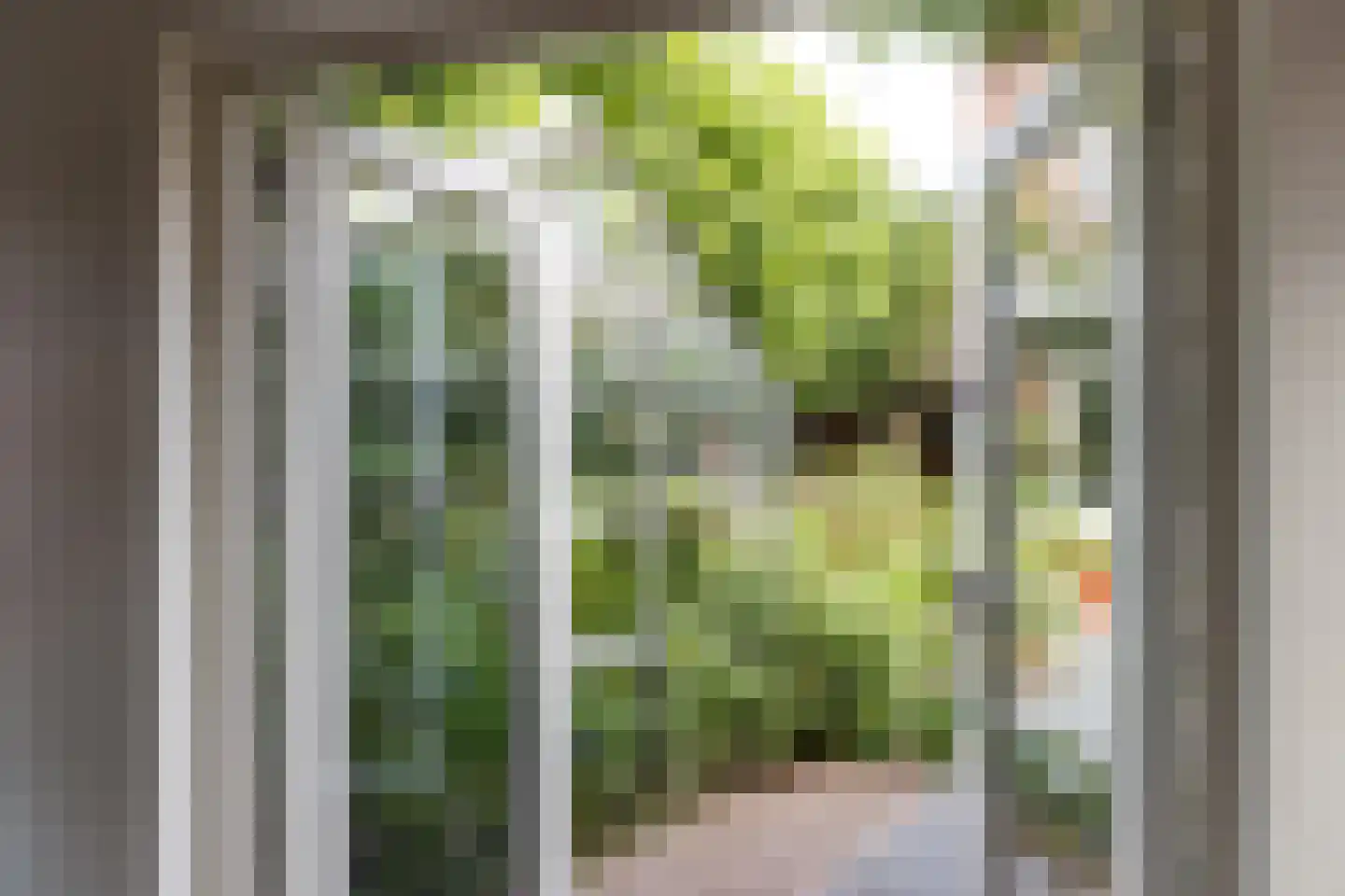 Govert Flinckstraat 25 Utrecht thumbnail 18