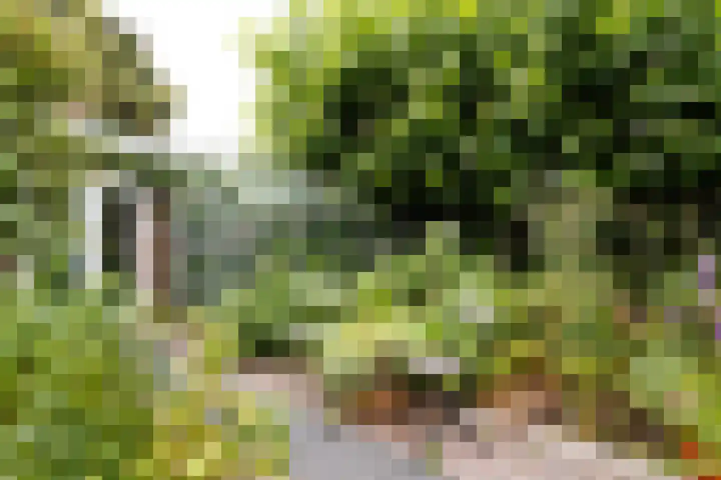 Govert Flinckstraat 25 Utrecht thumbnail 22