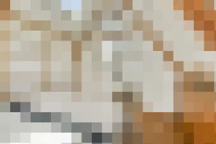 Govert Flinckstraat 253 D Amsterdam thumbnail 16