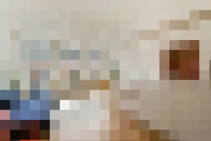 Govert Flinckstraat 253 D Amsterdam thumbnail 8