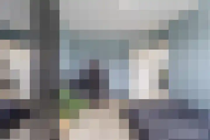 Govert Flinckstraat 26 Oud-Beijerland thumbnail 39