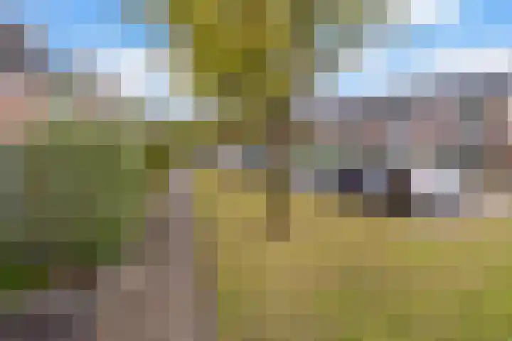 Govert Flinckstraat 26 Oud-Beijerland thumbnail 4