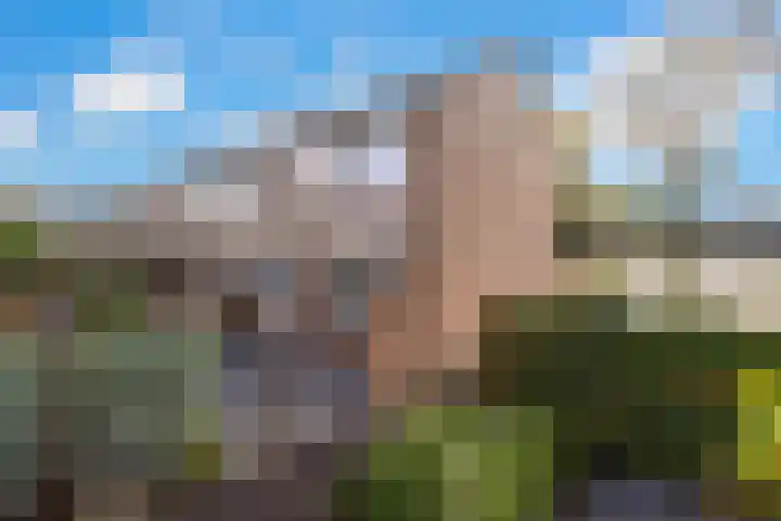 Govert Flinckstraat 26 Oud-Beijerland thumbnail 48