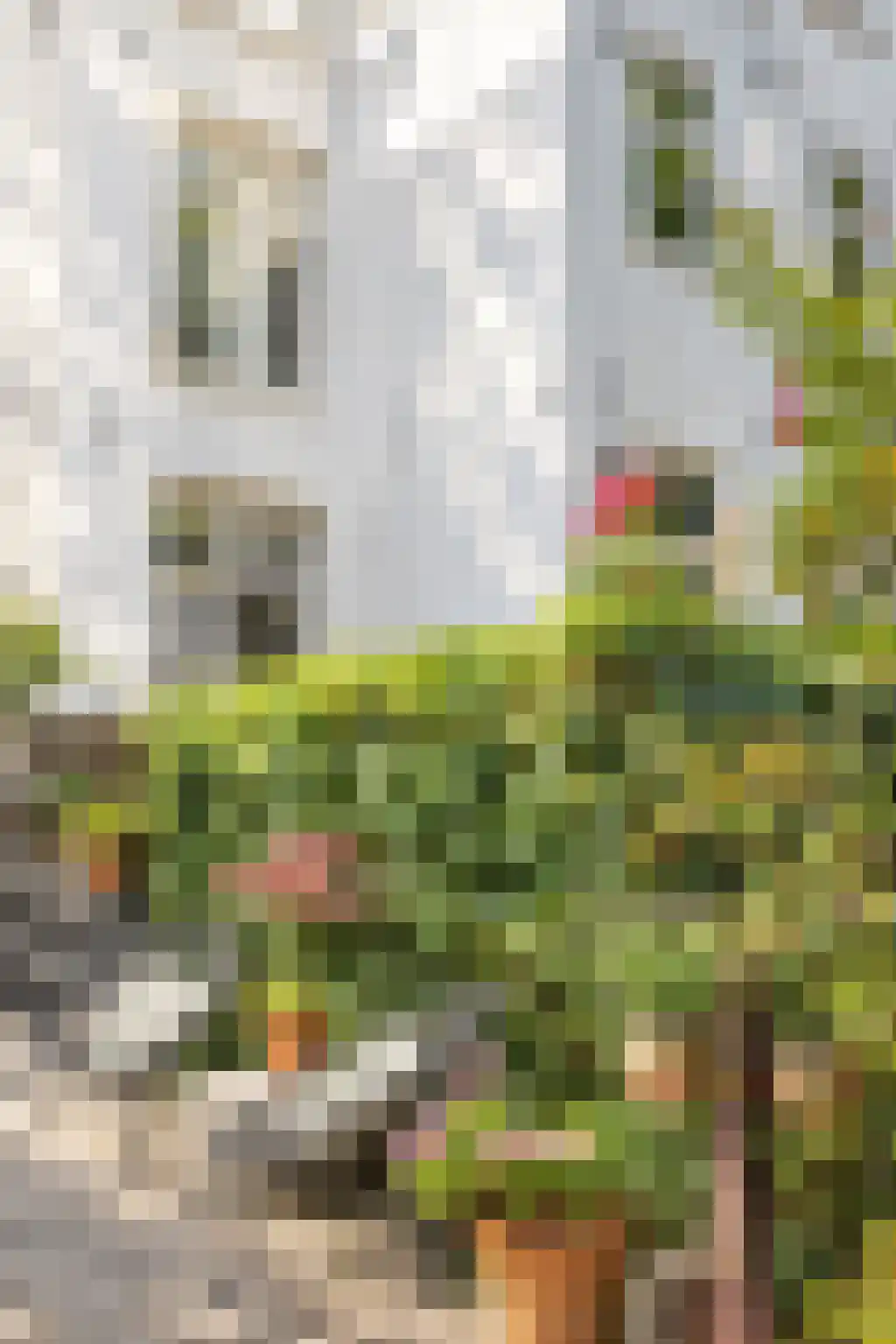 Govert Flinckstraat 260 A Amsterdam thumbnail 31