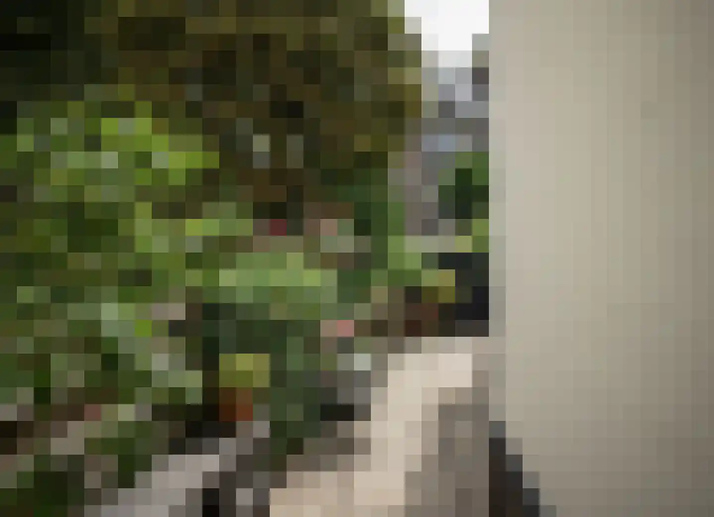 Govert Flinckstraat 260 A Amsterdam thumbnail 33