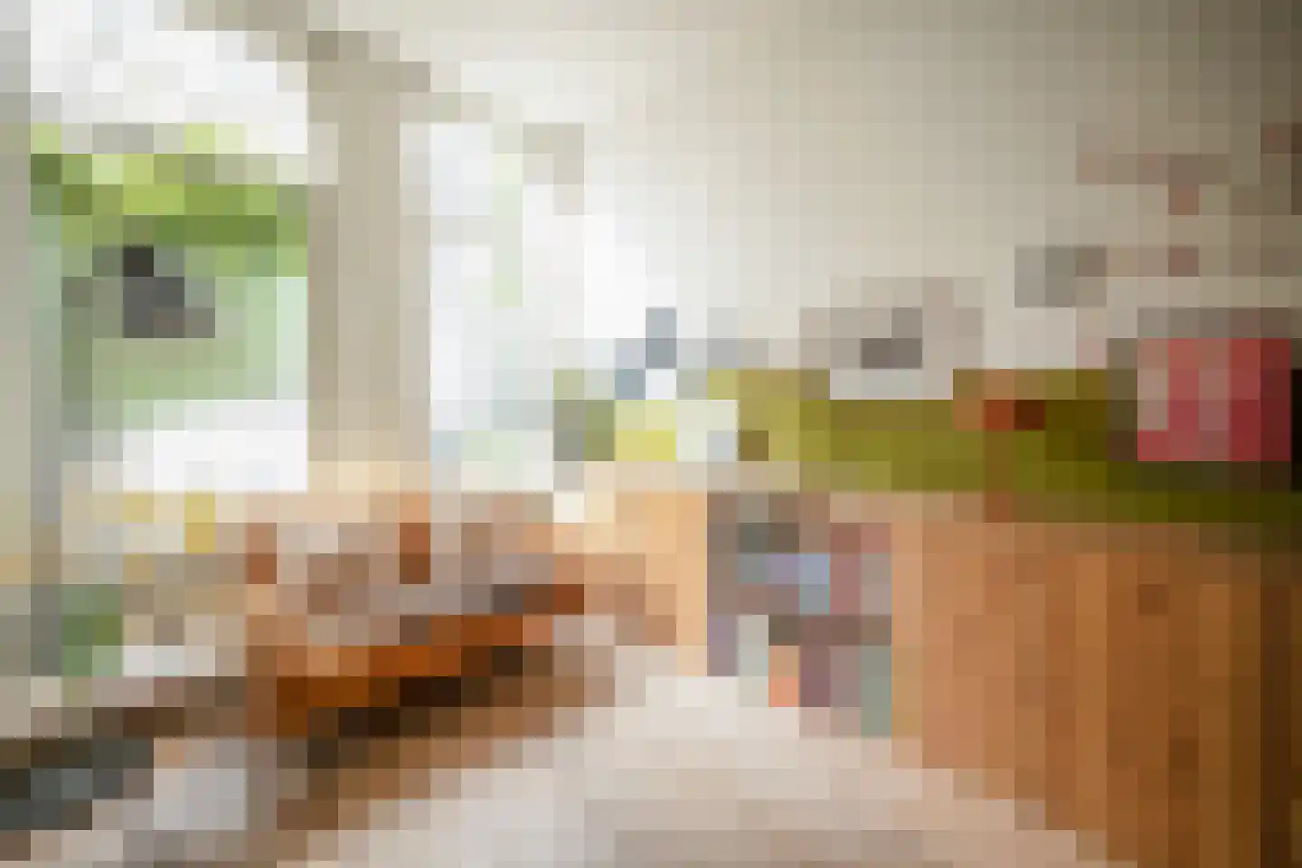 Govert Flinckstraat 260 A Amsterdam thumbnail 5