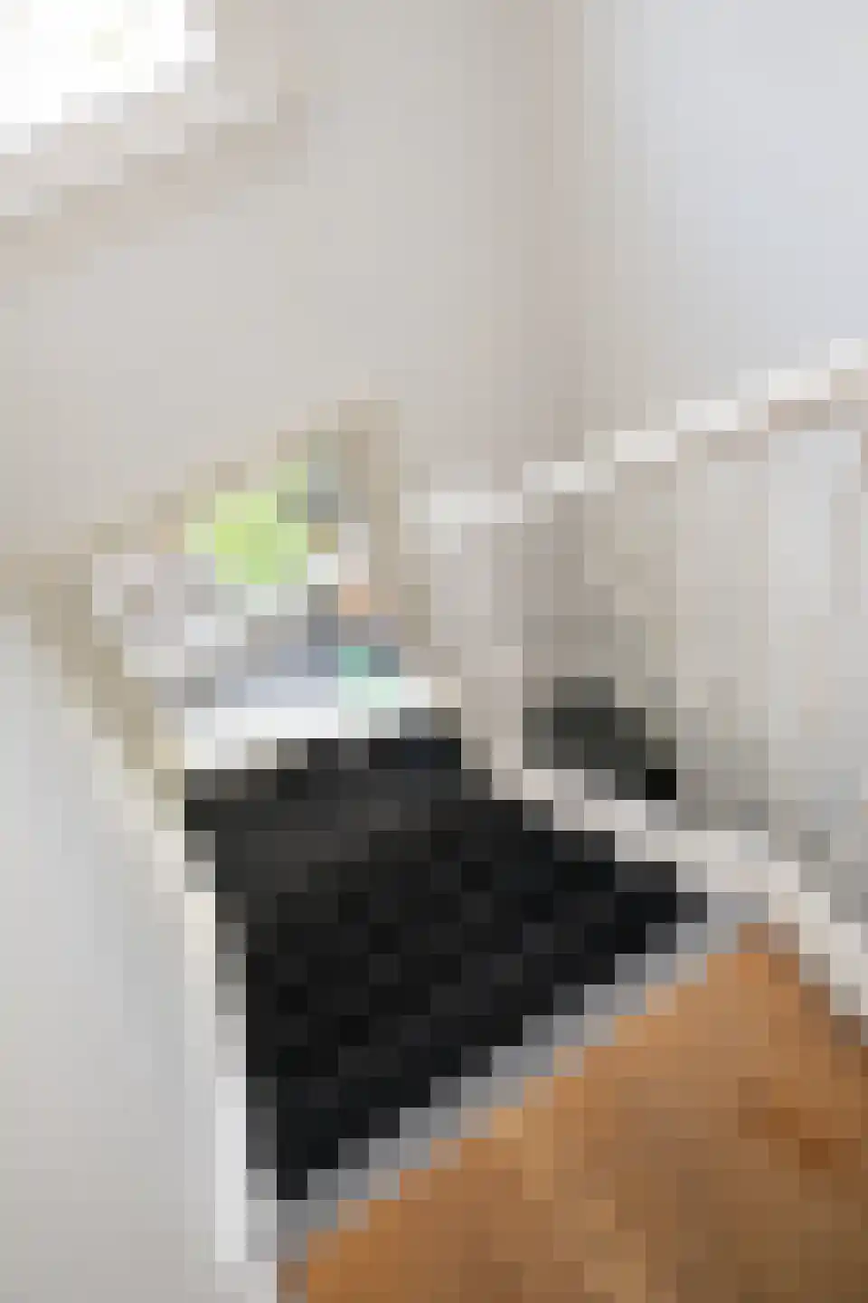 Govert Flinckstraat 263 C Amsterdam thumbnail 29