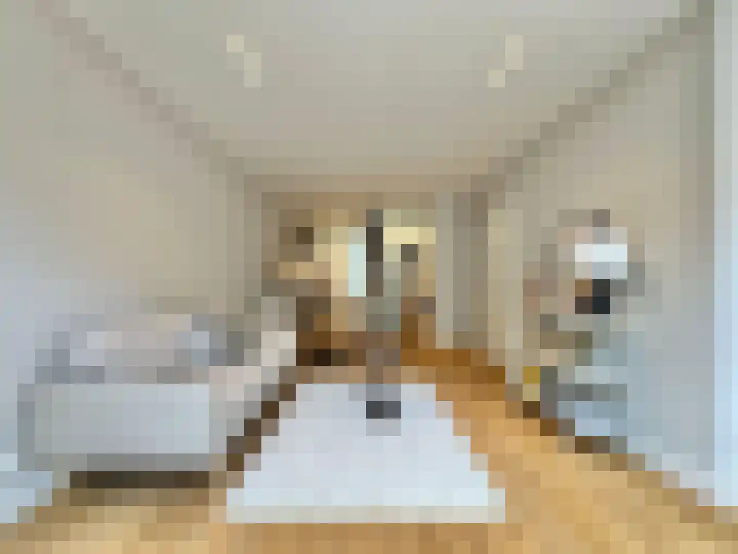 Govert Flinckstraat 271 2 Amsterdam thumbnail 4