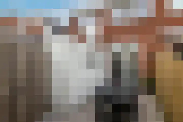 Govert Flinckstraat 31 Leeuwarden thumbnail 42