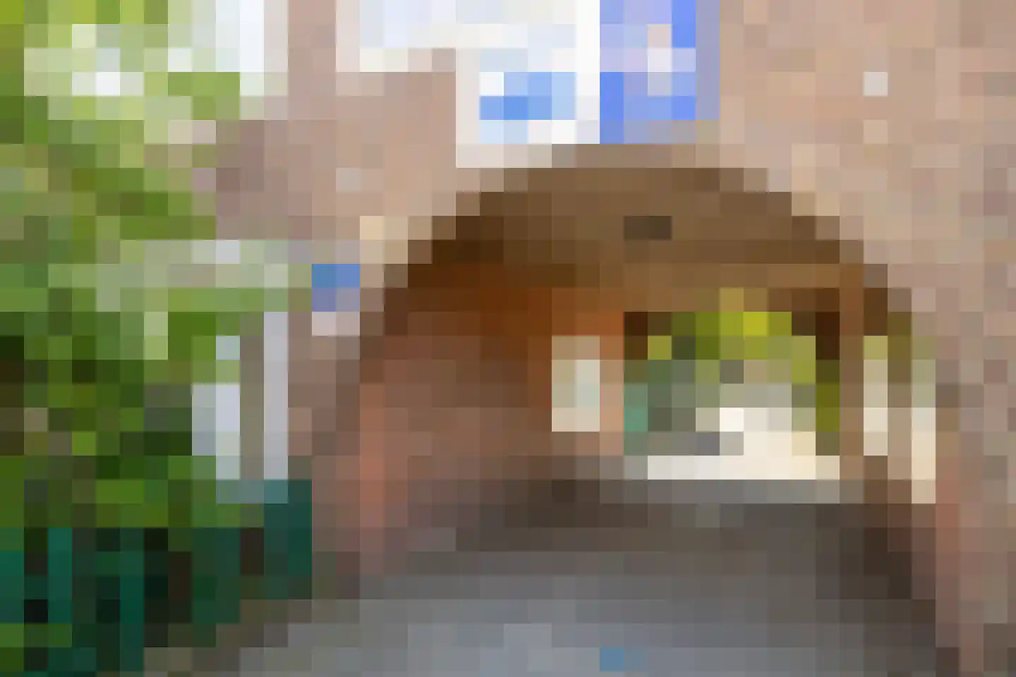 Govert Flinckstraat 32 Leeuwarden thumbnail 33