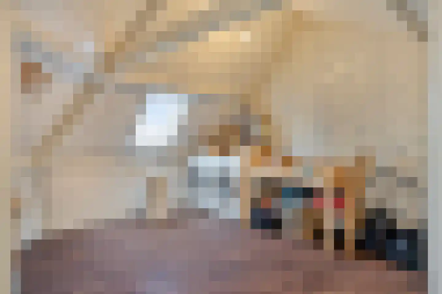Govert Flinckstraat 32 Zaandam thumbnail 34