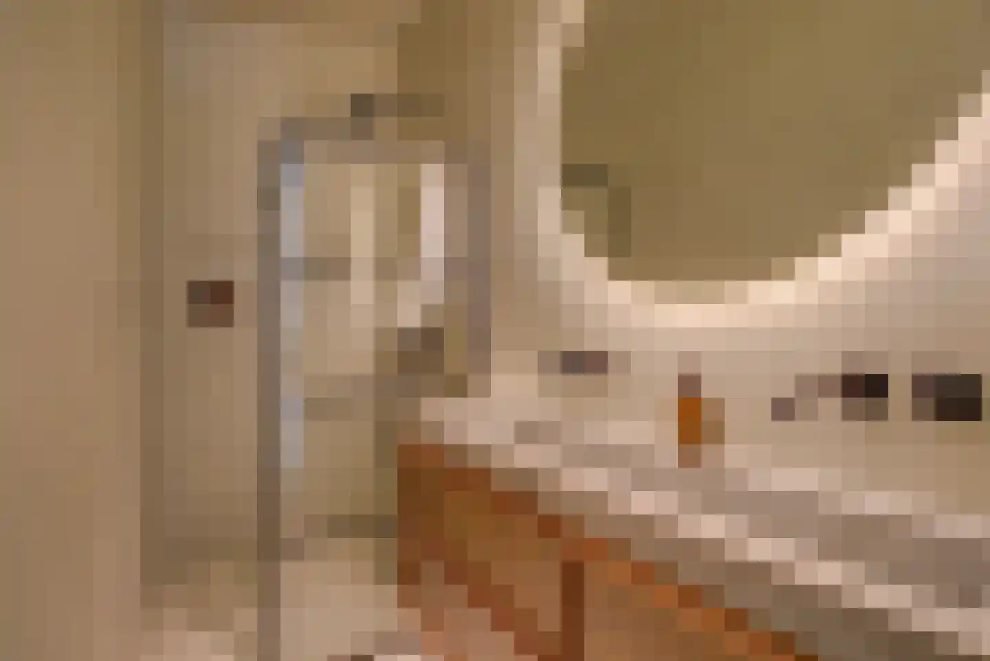 Govert Flinckstraat 322 1 Amsterdam thumbnail 19