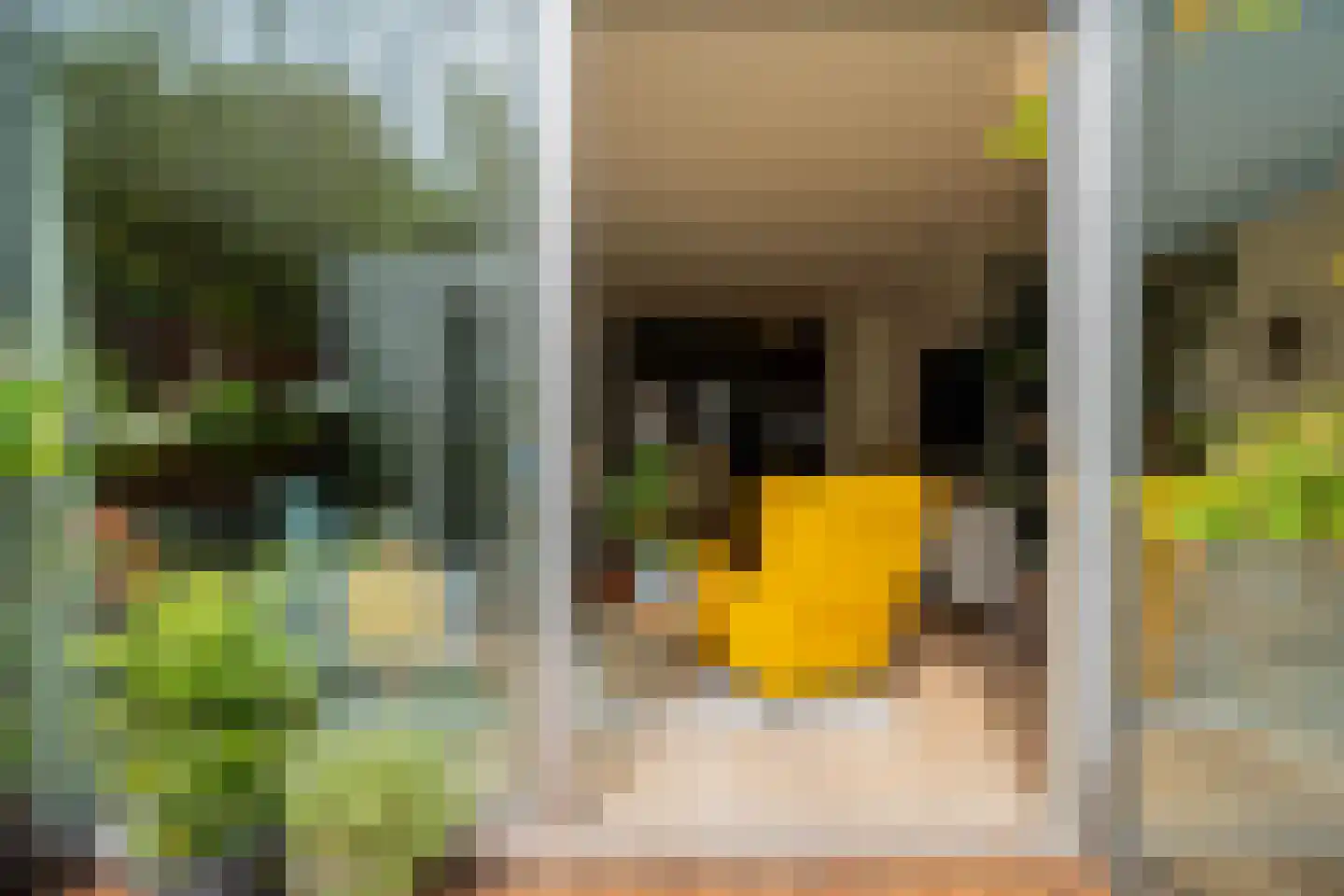 Govert Flinckstraat 344 H Amsterdam thumbnail 33