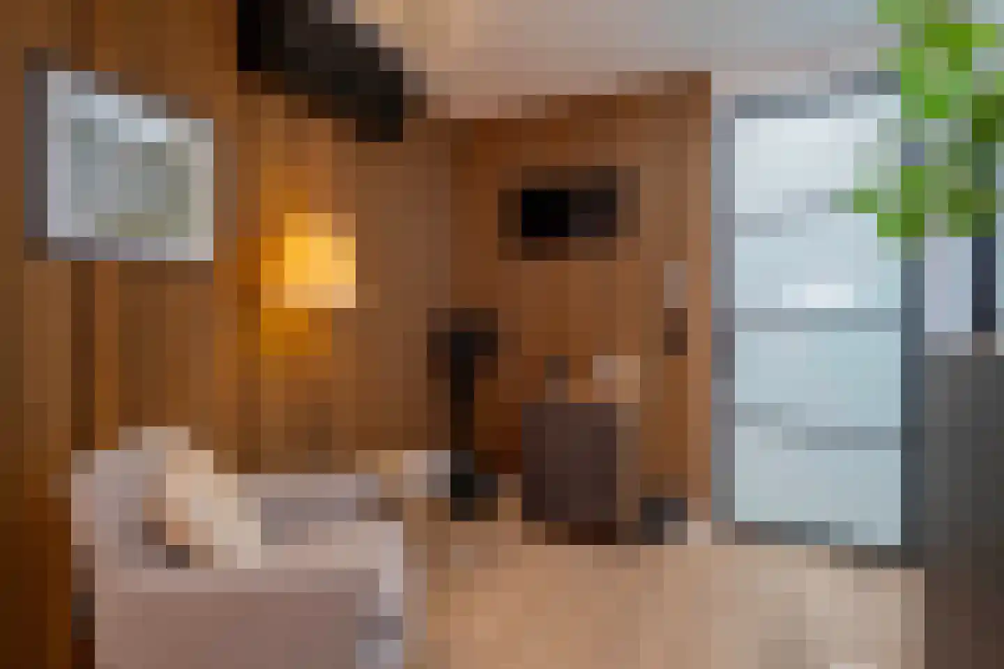 Govert Flinckstraat 344 H Amsterdam thumbnail 46