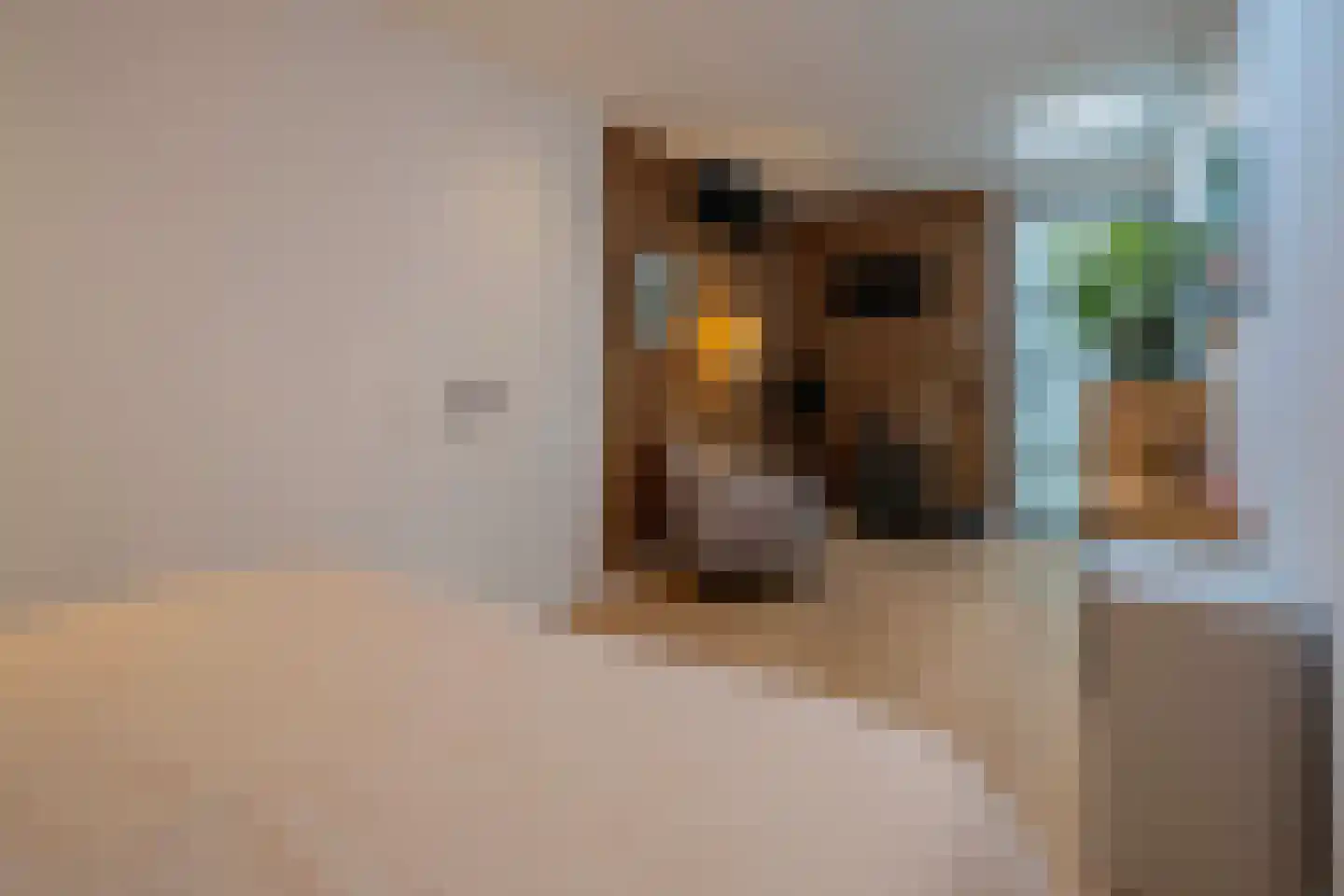 Govert Flinckstraat 344 H Amsterdam thumbnail 47