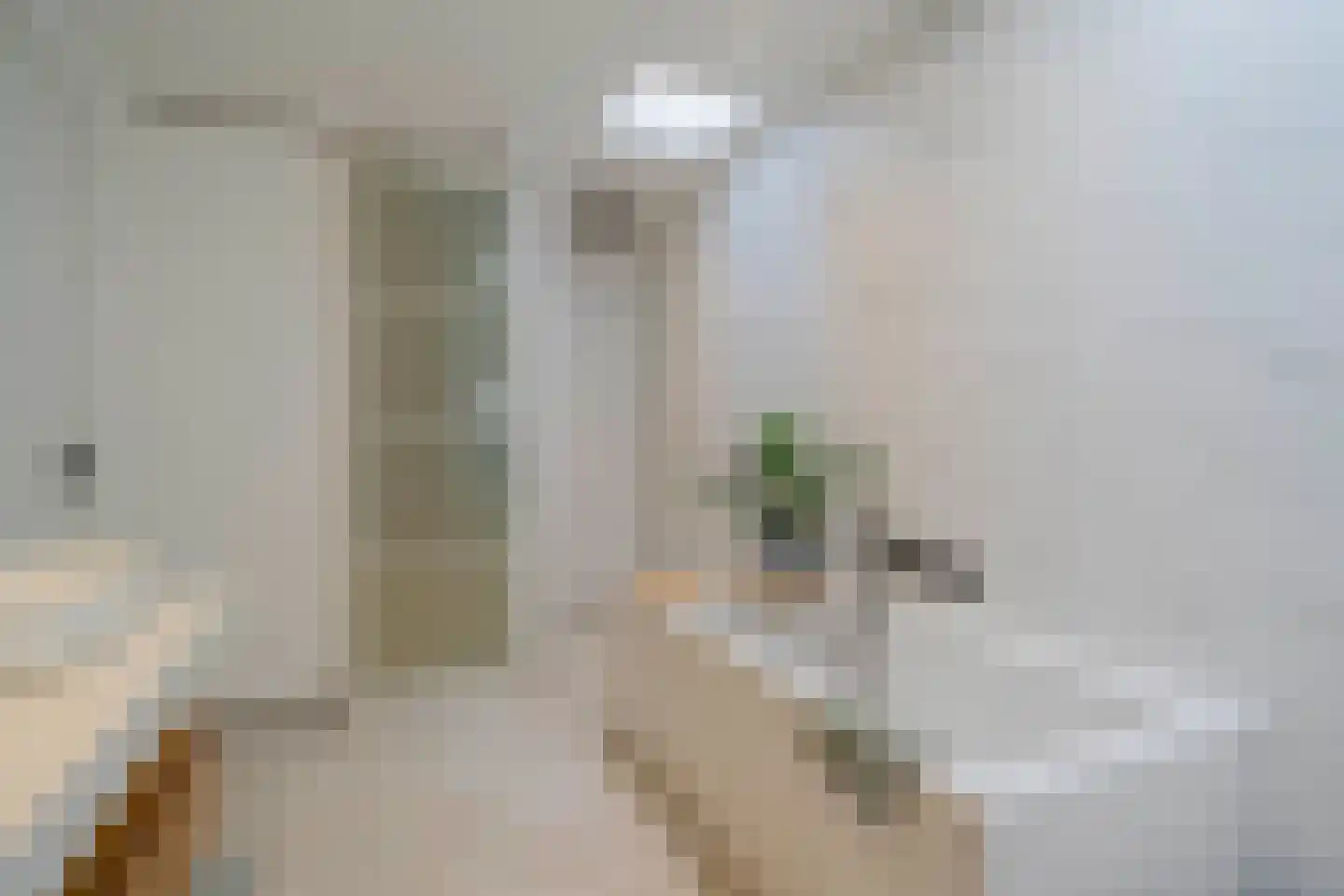 Govert Flinckstraat 344 H Amsterdam thumbnail 58