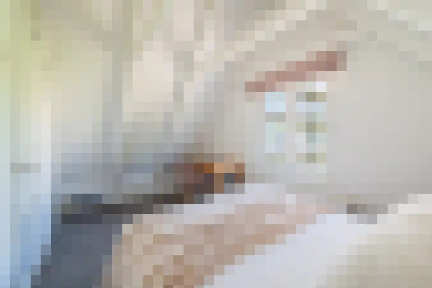 Govert Flinckstraat 347 2 Amsterdam thumbnail 29