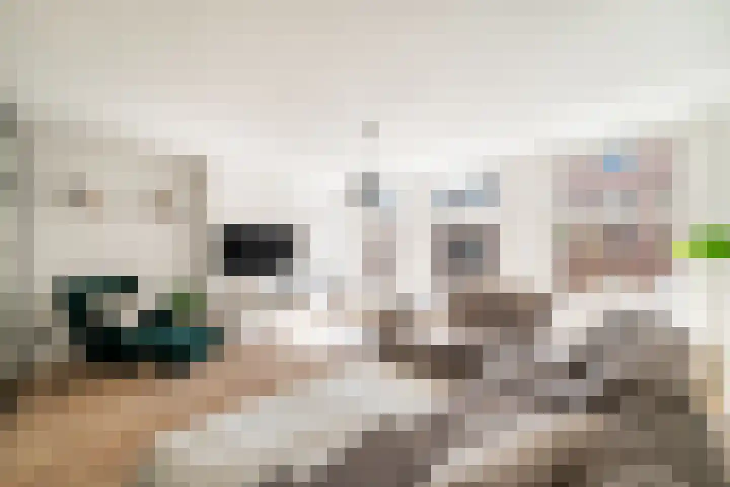 Govert Flinckstraat 347 2 Amsterdam thumbnail 8