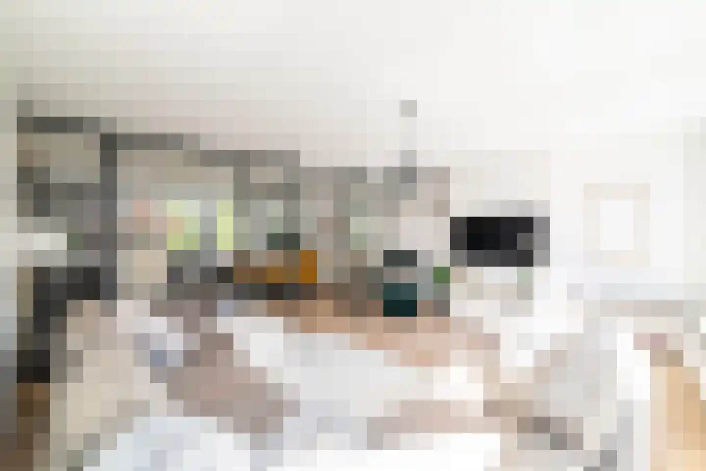 Govert Flinckstraat 347 2 Amsterdam thumbnail 9