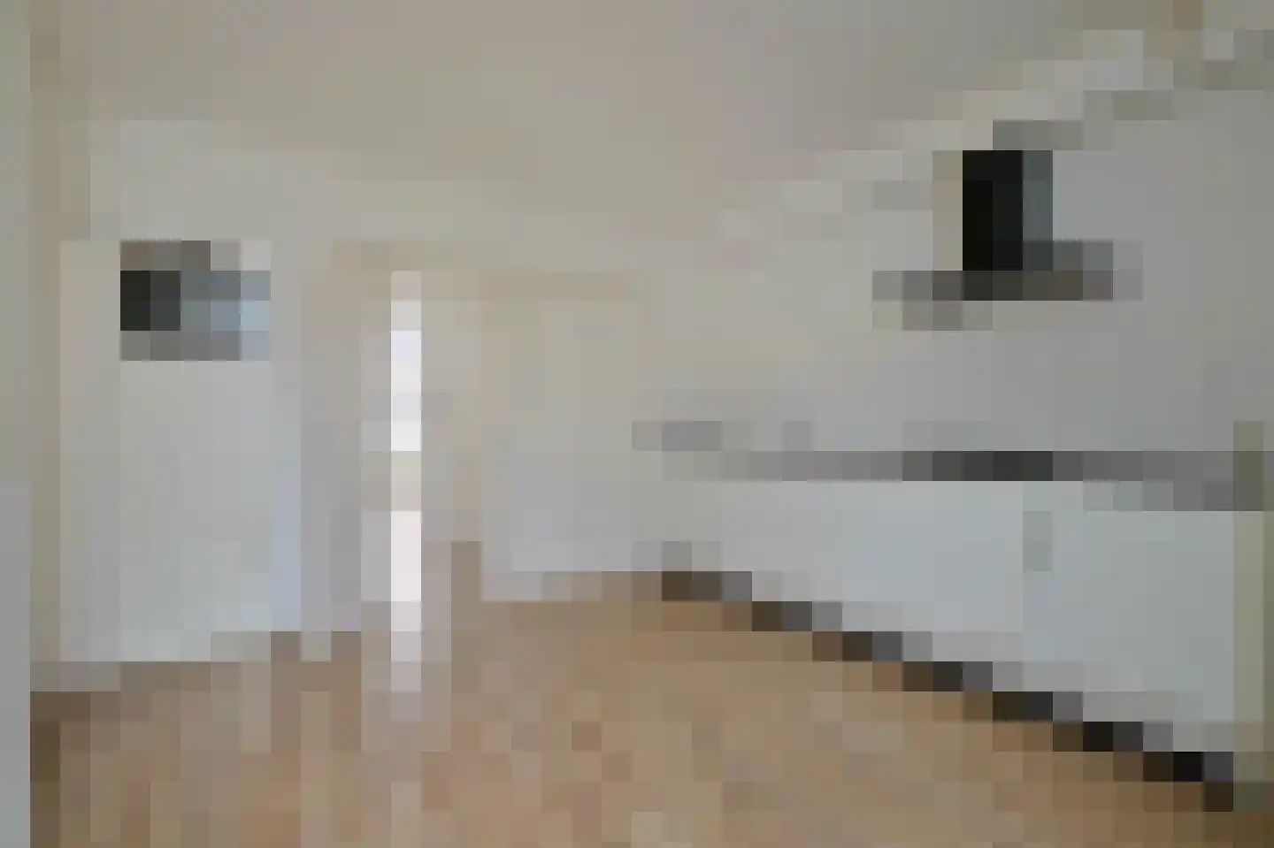 Govert Flinckstraat 353 1 Amsterdam thumbnail 7