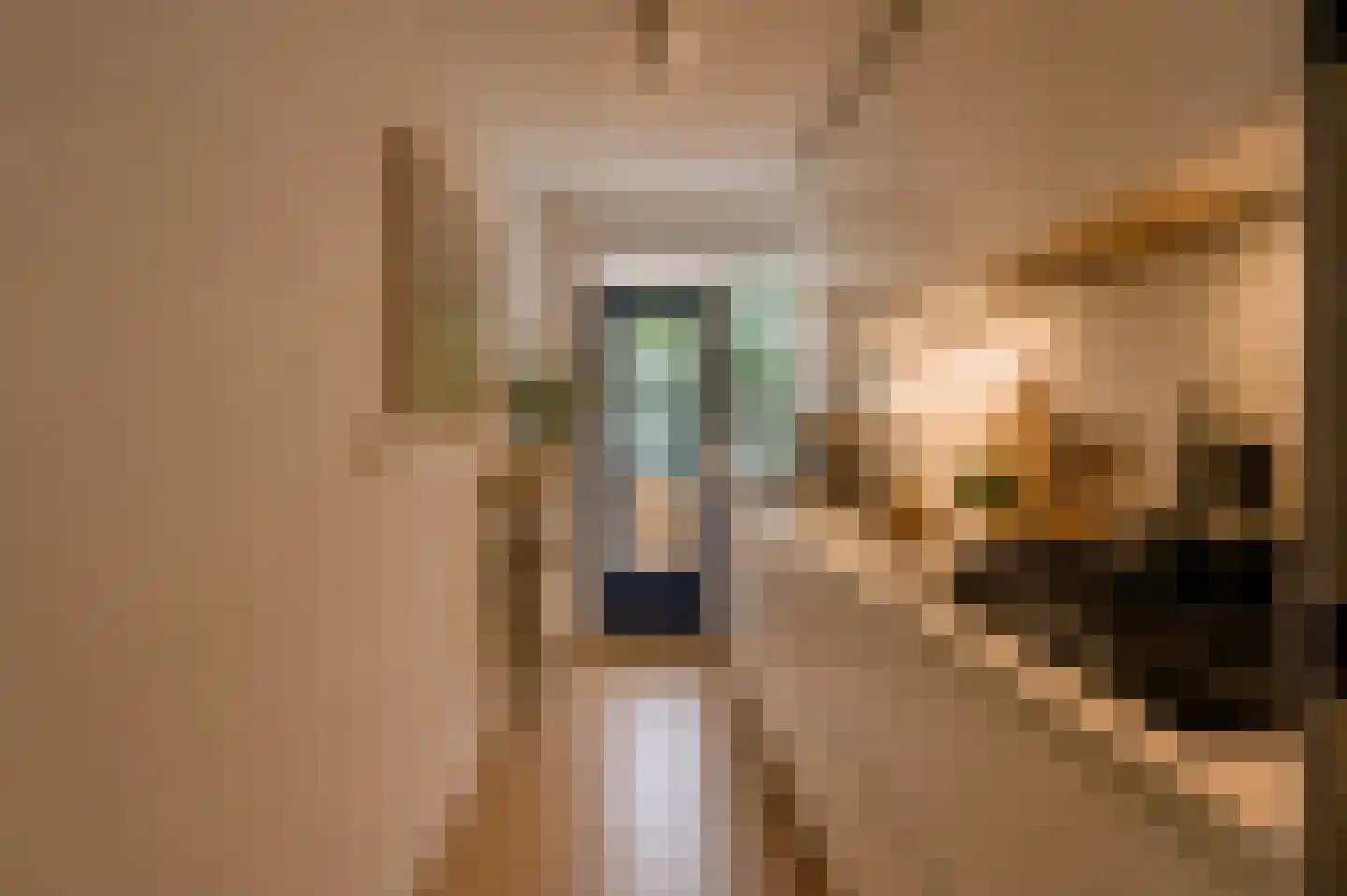 Govert Flinckstraat 366 B Amsterdam thumbnail 14
