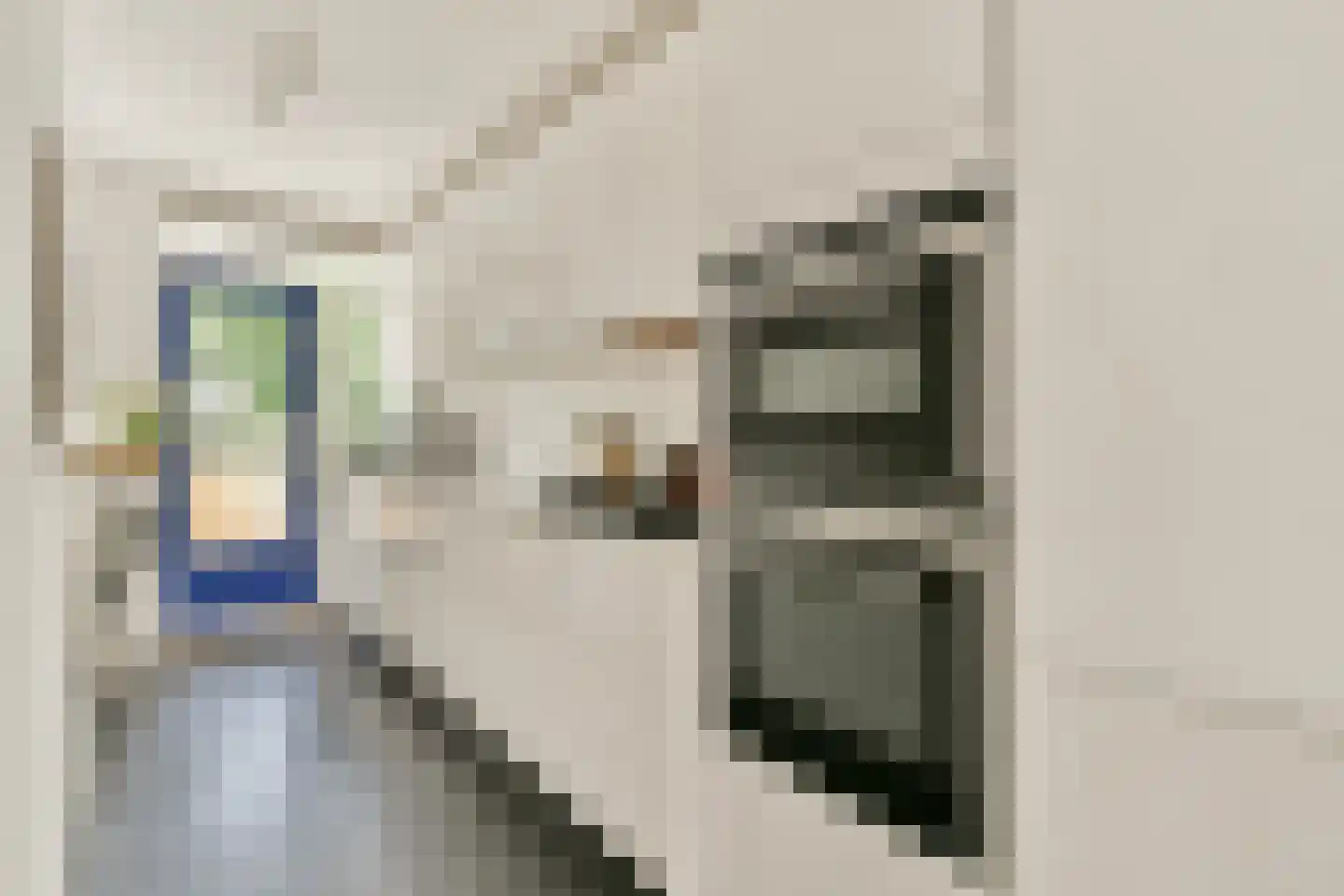Govert Flinckstraat 366 B Amsterdam thumbnail 16