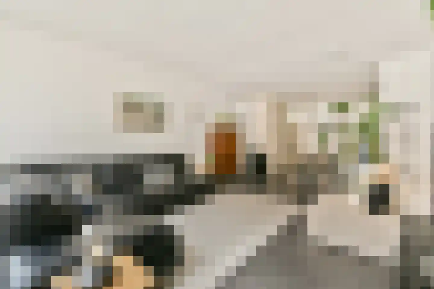Govert Flinckstraat 366 B Amsterdam thumbnail 5