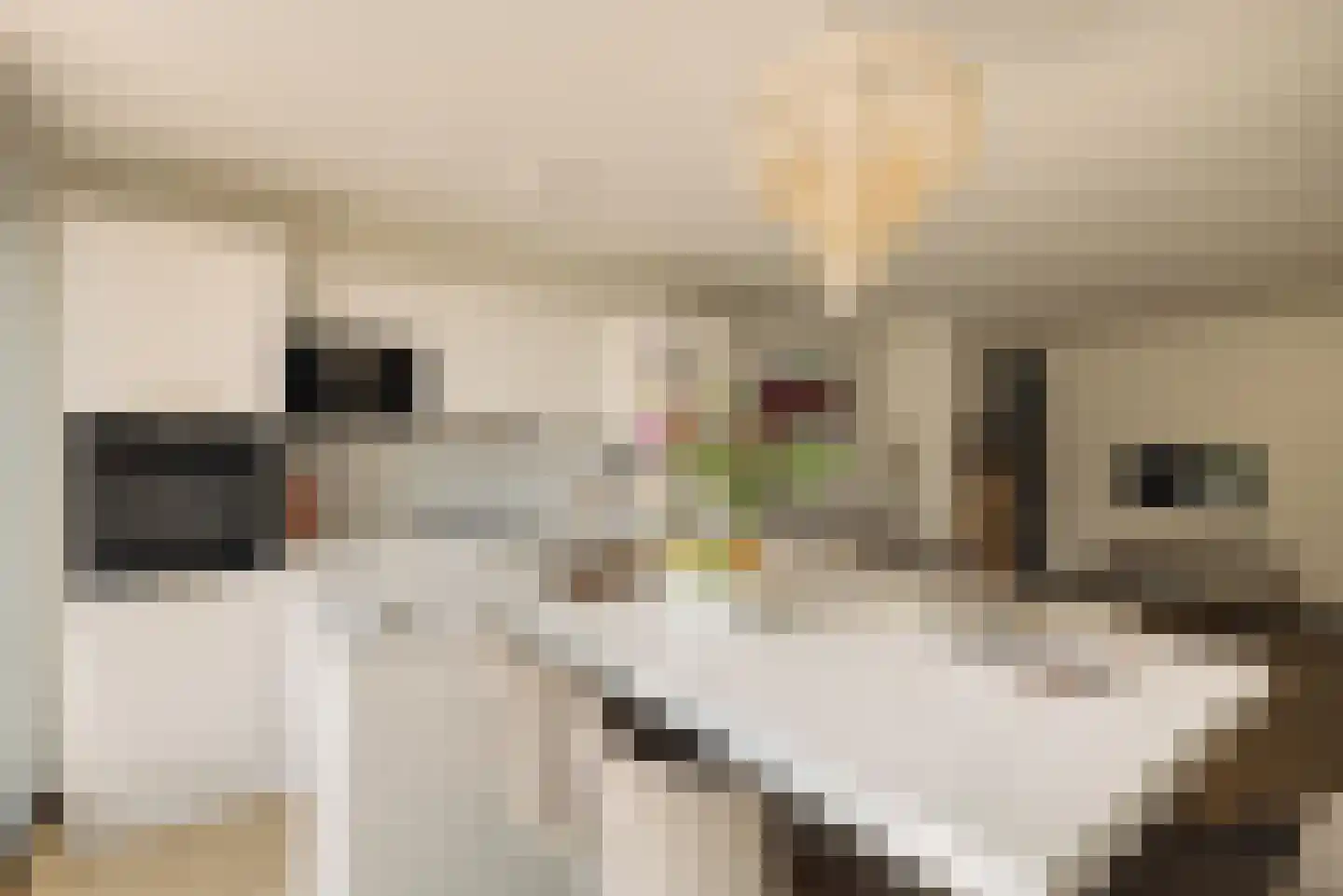 Govert Flinckstraat 370 C Amsterdam thumbnail 12