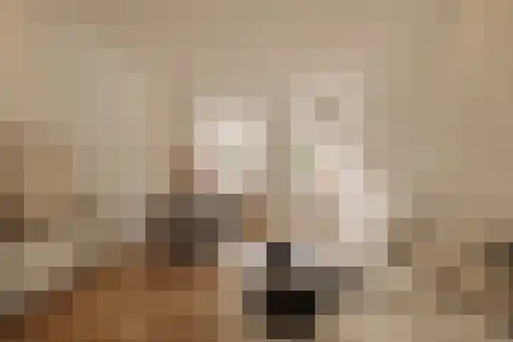 Govert Flinckstraat 396 H Amsterdam thumbnail 4